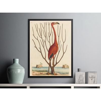 Beaulieu Print