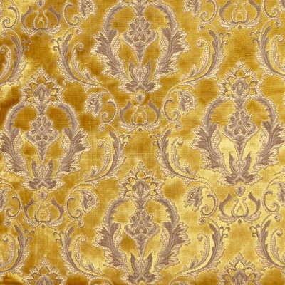 Damask Velvet | Beatrice Fabric