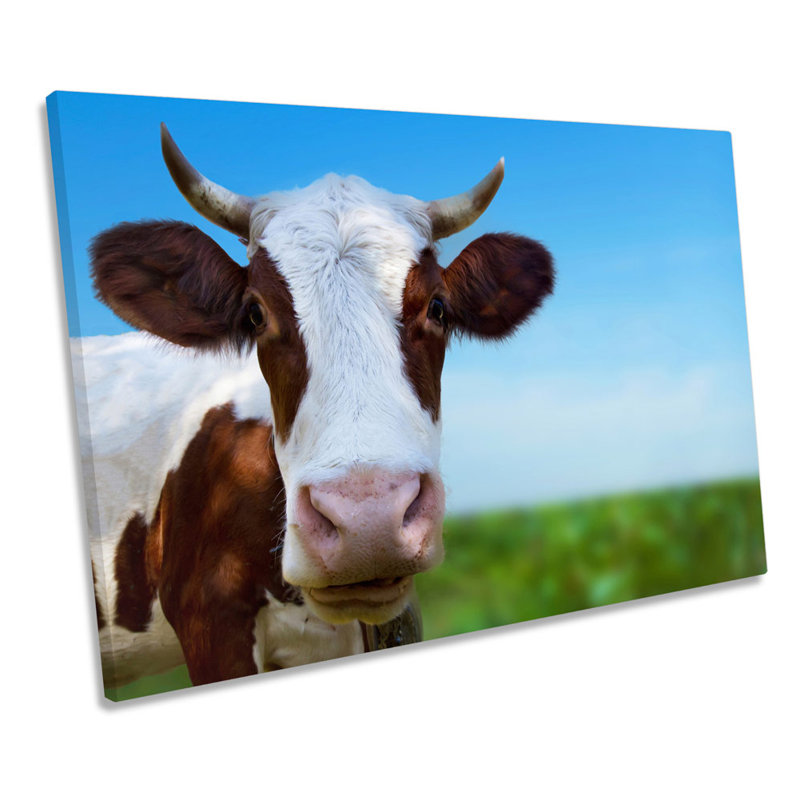 Cow Face Horns Farm - Wrapped Canvas Art Prints, 40.6cm H x 61cm W