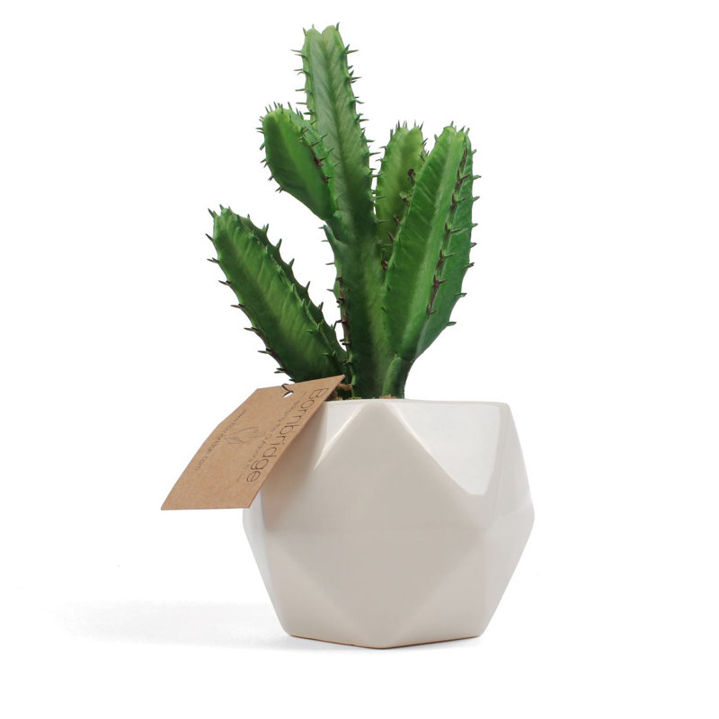 Cactus artificiel 2,75 po en pot