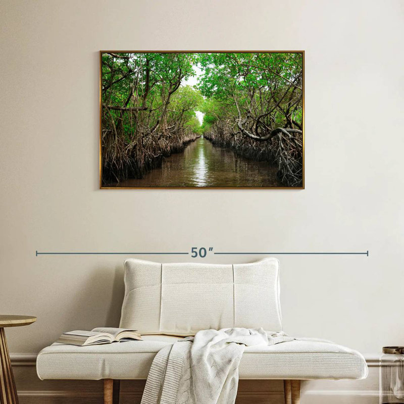 Mangroves de Everglade City, 37 po x 25 po, Cadre flottant doré