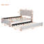 Lit plateforme tapissier avec lit gigogne-2131658551-2131658545
