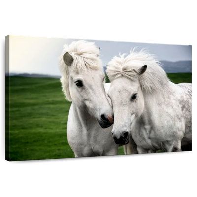 Brampt Pony Love