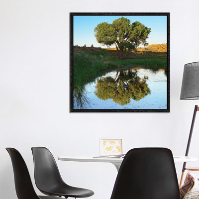 Tree Reflecting In Creek Near Black Mesa State Park, Oklahoma 1 Piece Wall Art on Canvas