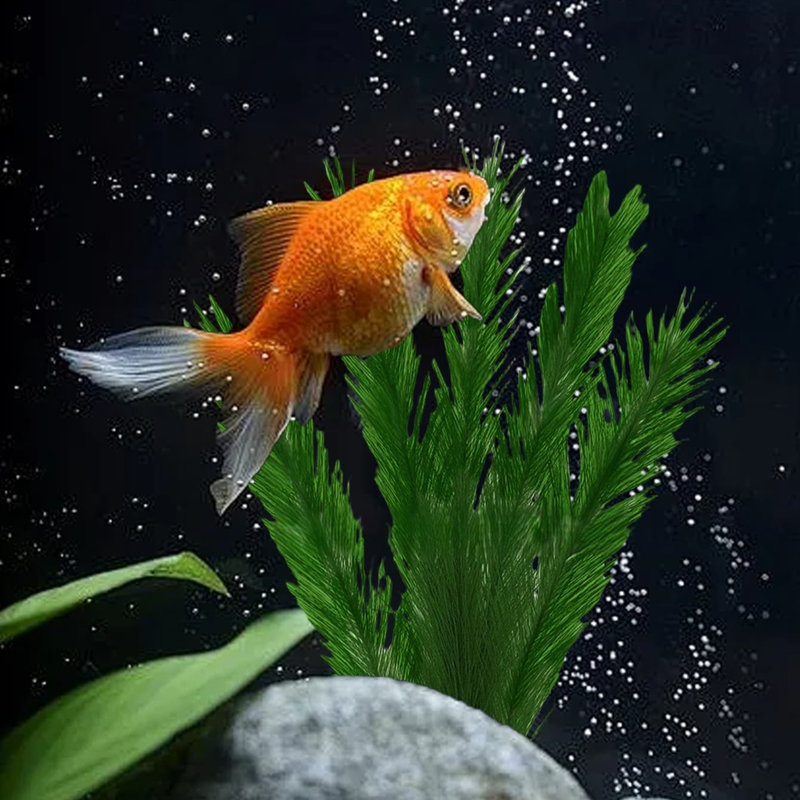 3 pièces d'aquarium artificiel vert