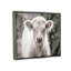 «Stupell Industries White Cow Calf», art mural sur toile par Nathan Larson-91314898-91314901