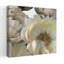 «Floral Shadows I Contemporary Delicate Dreamy Peony Nature Flower», art mural-124291324