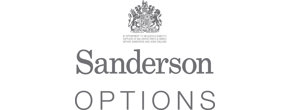 Sanderson Options Logo
