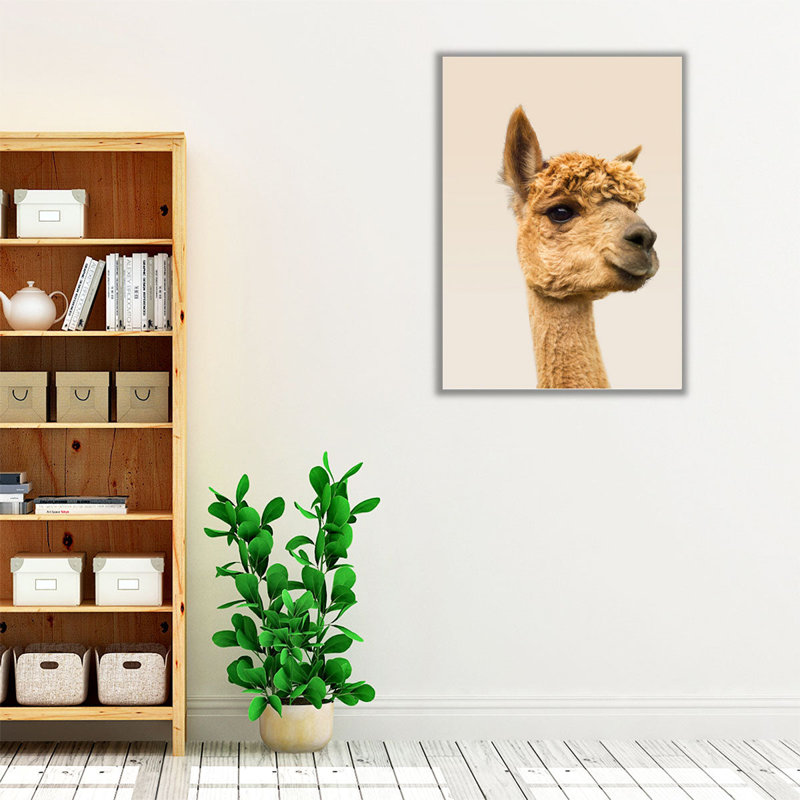 Gros plan sur un alpaga - reproduction d'art sur toile, H 60 po x l 45 po