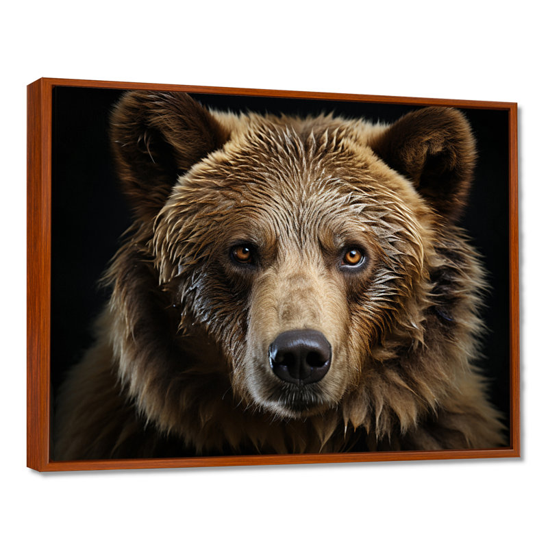 «Bear Portrait - Bear», reproduction d'art sur toile encadrée, H 34 po x l 44 po, Reproduction avec cadre flottant, Brun