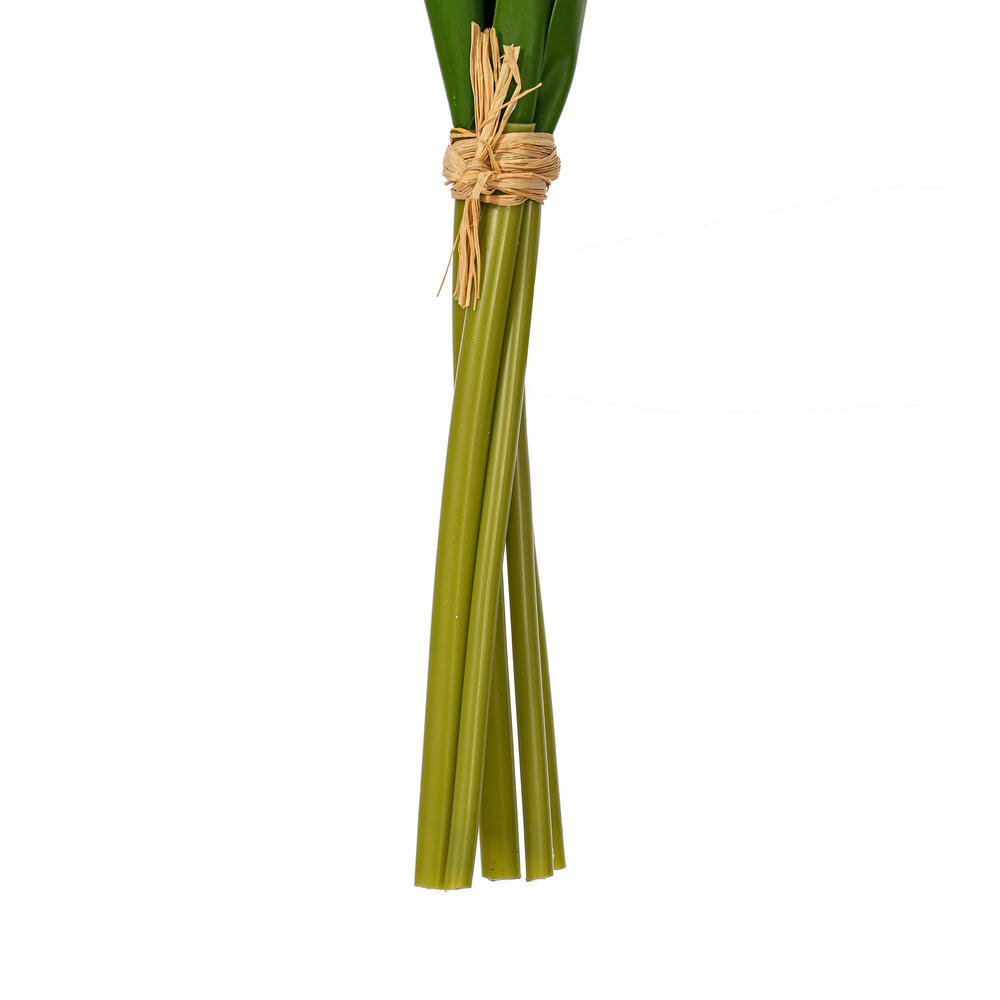 Jasiah Tulip Floral Stems, Red