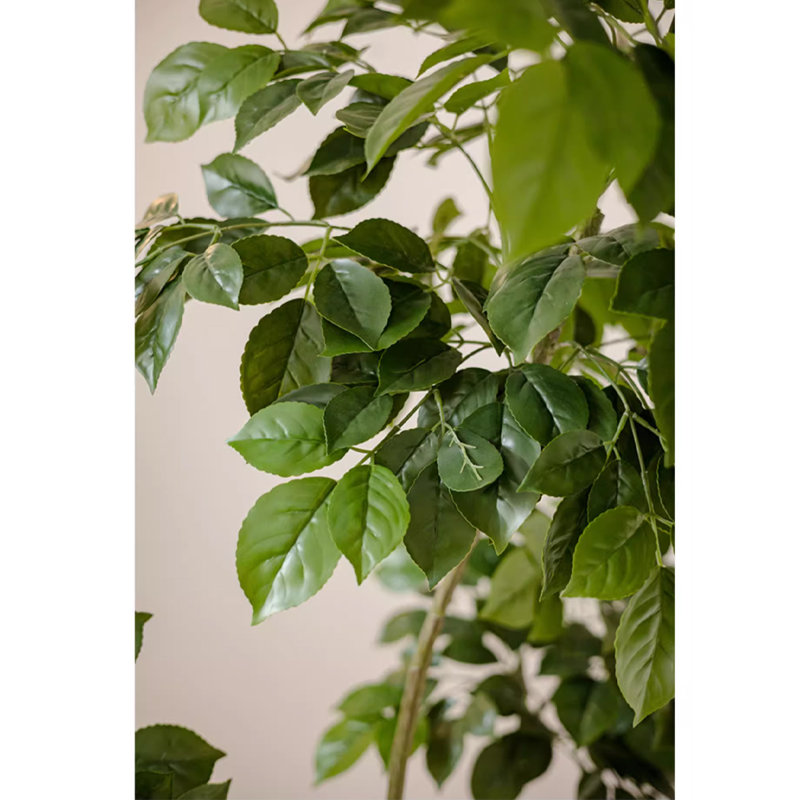 Simulation de plante verte Happiness Tree Living Room, H 64,96 po x l 12,99 po x P 12,99 po