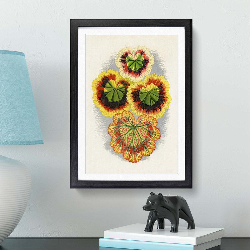 Geranium Leaves by Benjamin Fawcett - Framed Print, 48cm H x 36cm W x 2cm D, Black Framed
