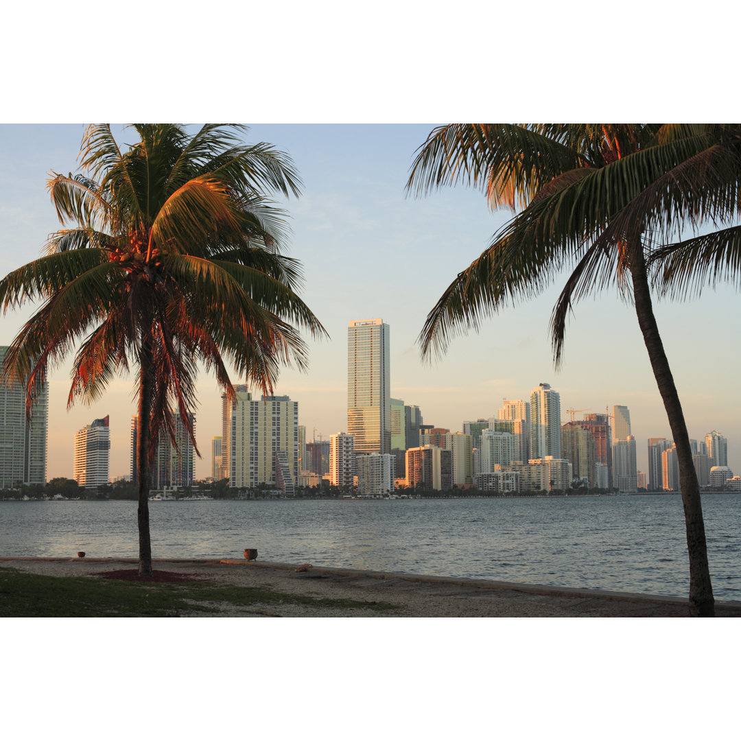 Blick auf die Skyline von Miami von Drasa - Leinwanddrucke mit Wrapping