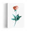 Flower Power #1 Abstract Contemporary Peony Rose Flower Landscape Wall Art Print 1 Piece Wrapped Canvas Wall Art-1350048018
