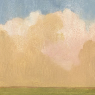Evening Plane I - Wrapped Canvas Print