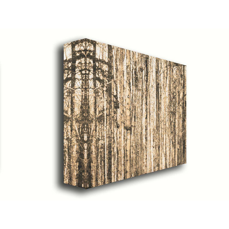 «Bare Trees» par Hal Halli. Toile giclée sur toile tendue avec cadre flottant, H 30 po x l 40 po, Toile tendue