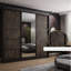 Baani Manufactured Wood Wardrobe