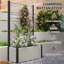 Raised Garden Bed-409489615