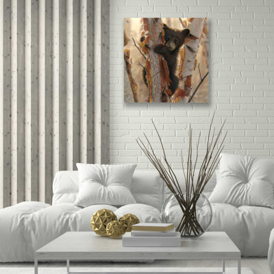 «Curious Cub II» par Collin Bogle, art mural en verre acrylique