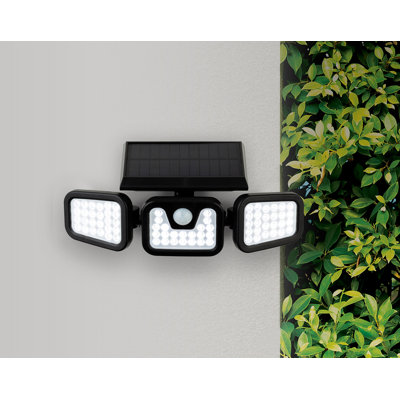 Dotan Flood Light