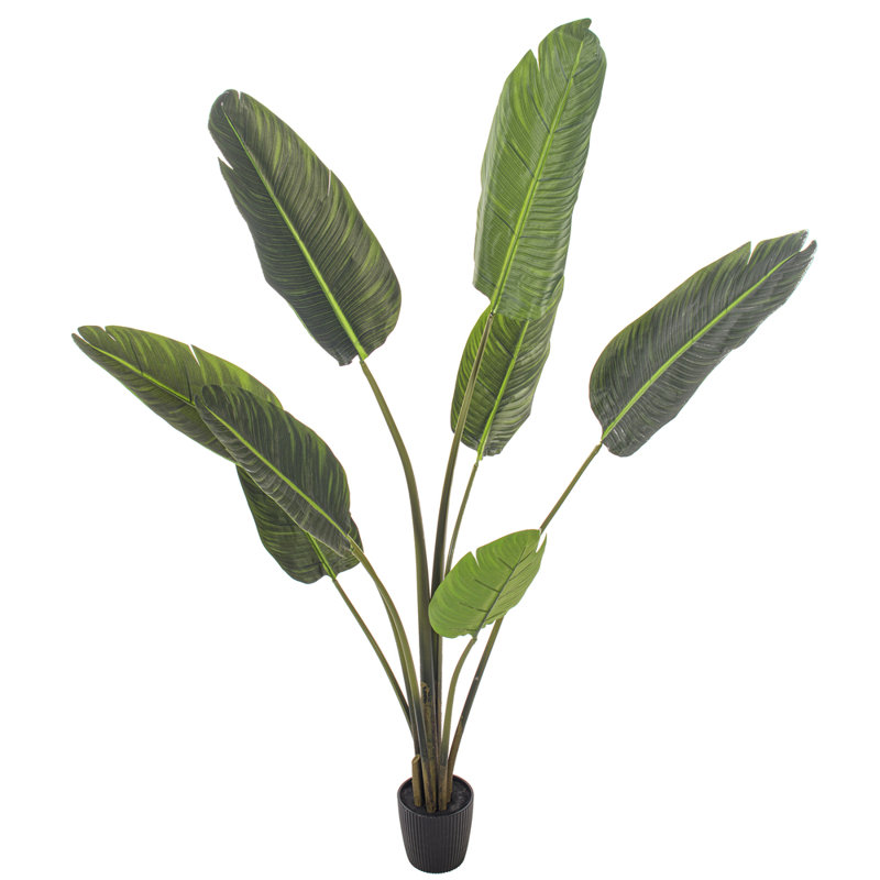 5' Artificial Potted Travellers Palm Tree