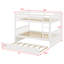 Bunk Bed Including Trundle, Ladder, Guardrails-1797303201
