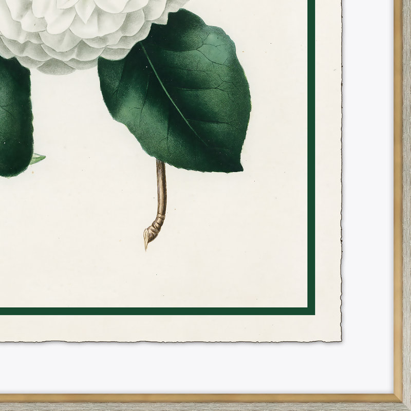 «Flora VI», reproduction de cadre photo sur papier
