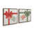 Noyer