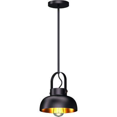 Mini-luminaire suspendu d'intérieur 1 lumière Downrod