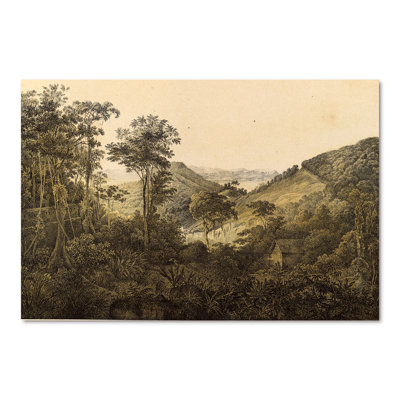 " Nature of South America Old Image VIII " Painting