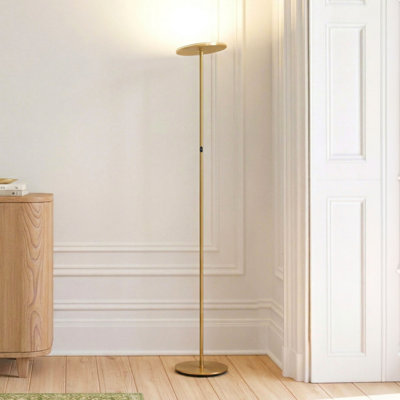 Sky 63" Brass Dimmable LED Floor Lamp with Adjustable Head