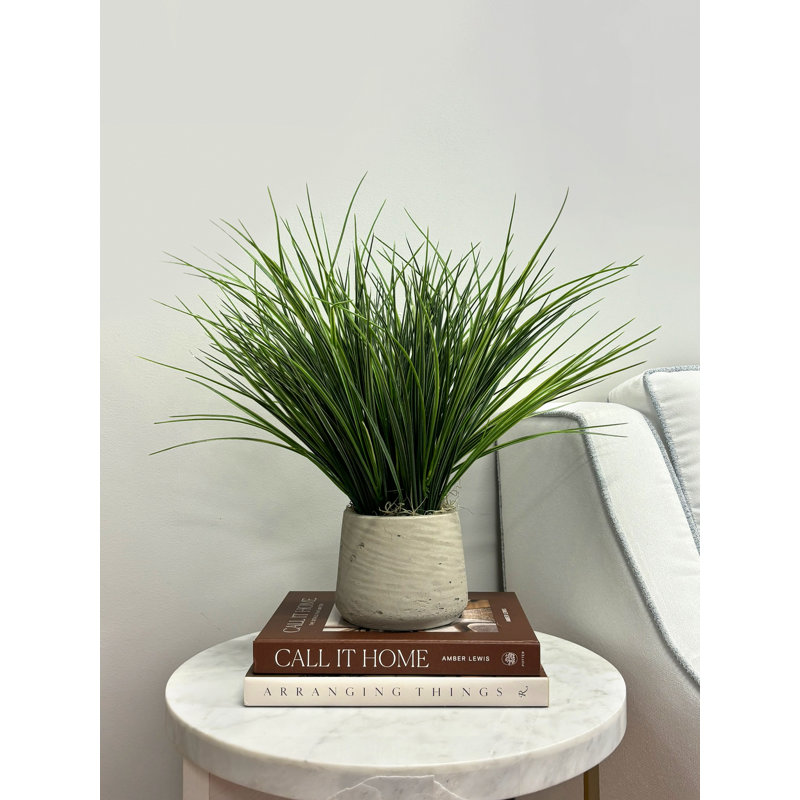 Riey Faux Grass in Fiberstone Pot