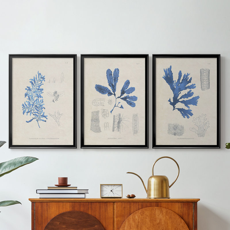 Blue Marine Algae VI - Toile tendue avec châssis sur mesure - 3 pièces, Noir, H 21 po x l 30 po