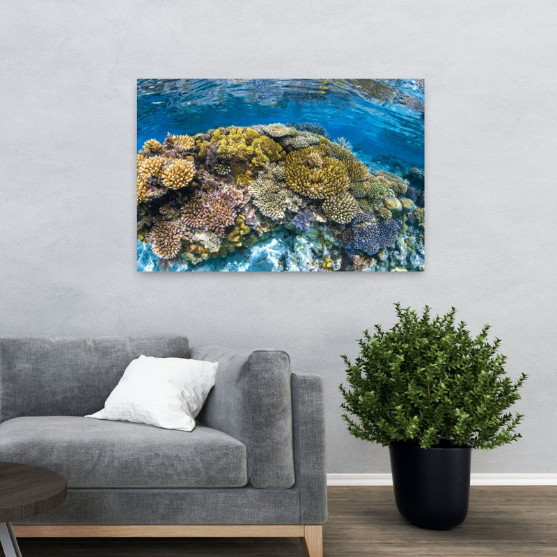 Impression murale Panoreef Ocean Tropical, H 32 po x l 48 po