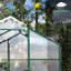 Serre en aluminium robuste de 6 pi x 4 pi - Polycarbonate pour une utilisation en toute saison