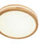 Natural Circular Dimmable LED Ceiling Light