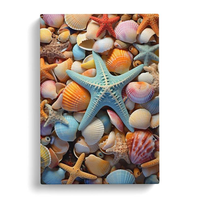 Seashell Abstract Art - Wrapped Canvas, 50cm H x 35cm W x 3cm D