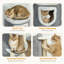 101 cm H Cat Tree / Condo