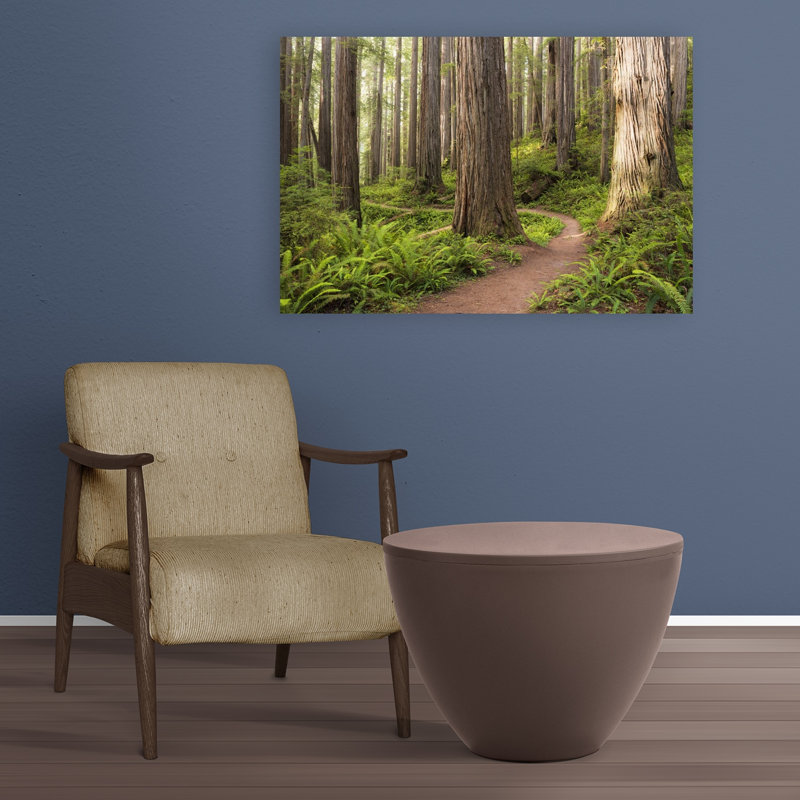 «Lost World», reproduction d'art contemporain de paysage forestier contemporain, 24" H x 36" W