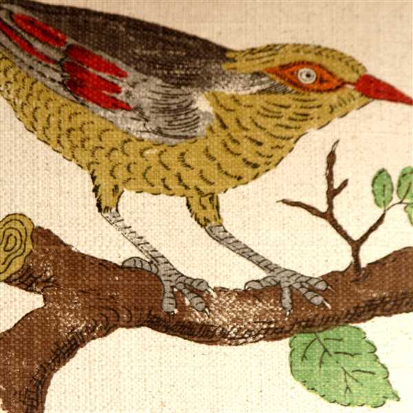 Coussin Bird