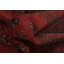 Tapis afghan tribal rouge oriental 3 x 5