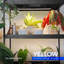 Naomi Grow Light