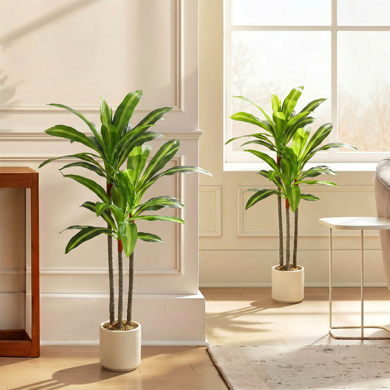 Faux Dracaena Tree Plant in Cement Freestanding  Planter, 2, 90cm H x 40cm W x 30cm D