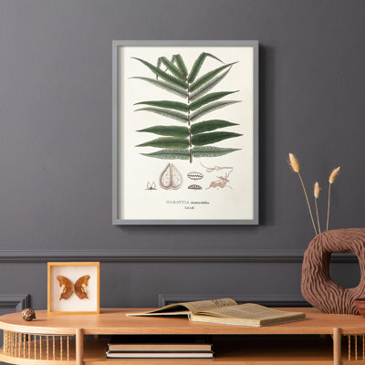 Botanical Society, impression encadrée de fougères - bois massif