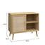 Anelise 1 Rattan Door Open Shelving Sideboard Cabinet Storage Unit