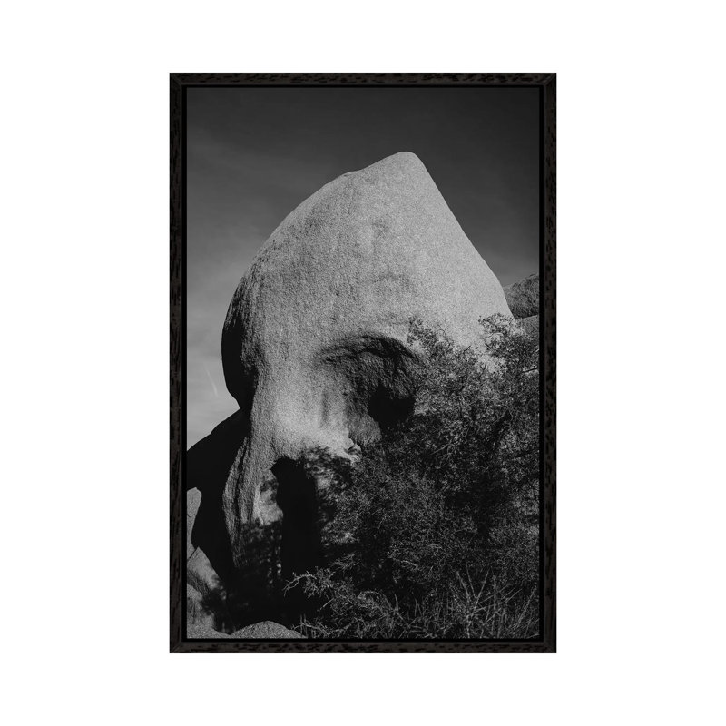 Skull Rock III 1 Piece Wall Art on Canvas, 101.6cm H x 66.04cm W x 3.81cm D, Black Framed
