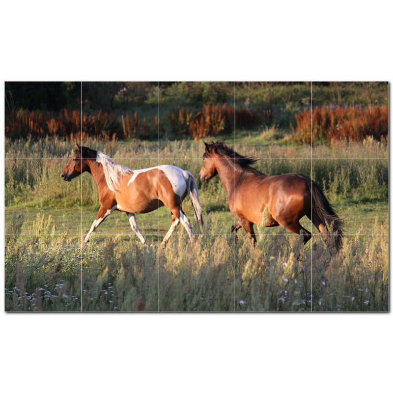 Murale en céramique satinée Horse Photo 8 po x 8 po