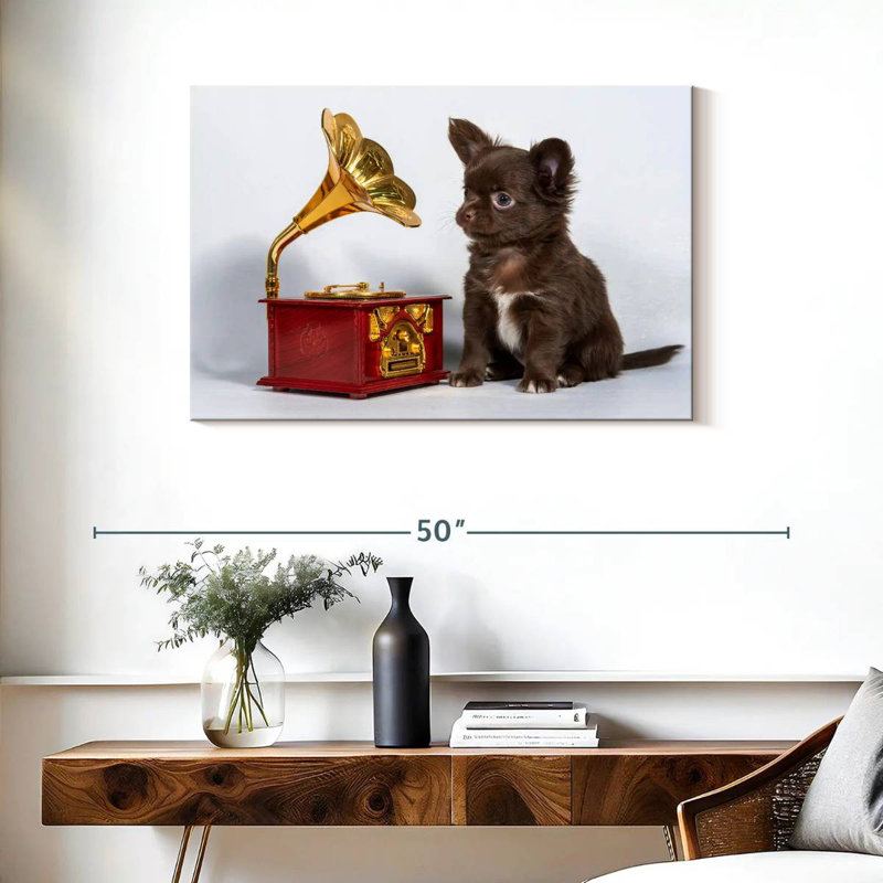 Chihuahua Bramom mélomane, H 24 po x l 36 po