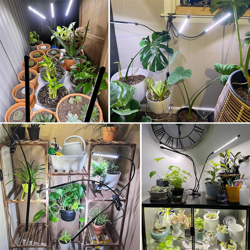 YHSNFJING Grow Light